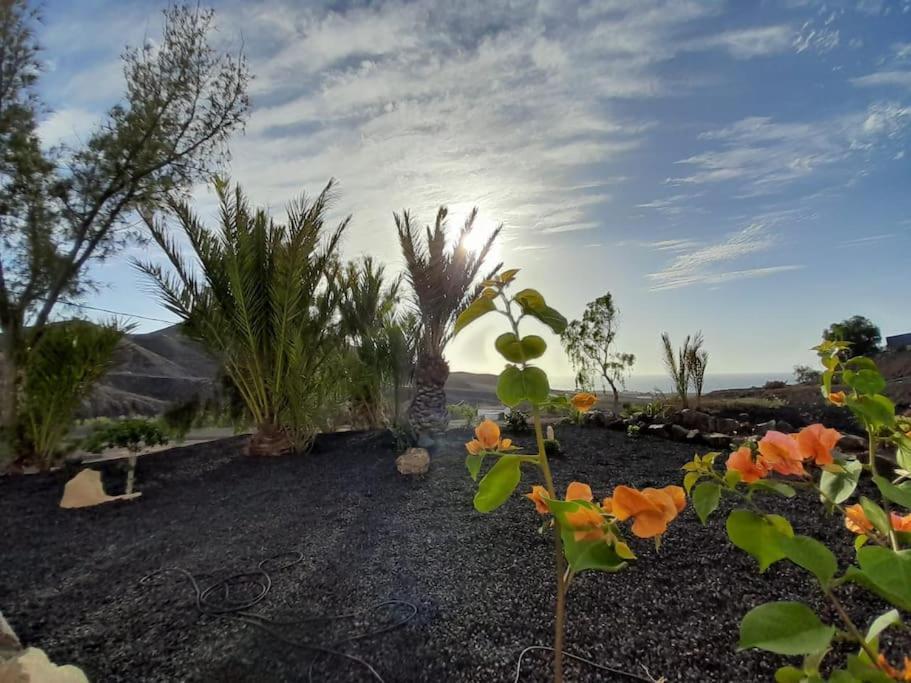 Villa Casagrande Sunset II - Fuerteventura - Costa Calma Pájara Esterno foto